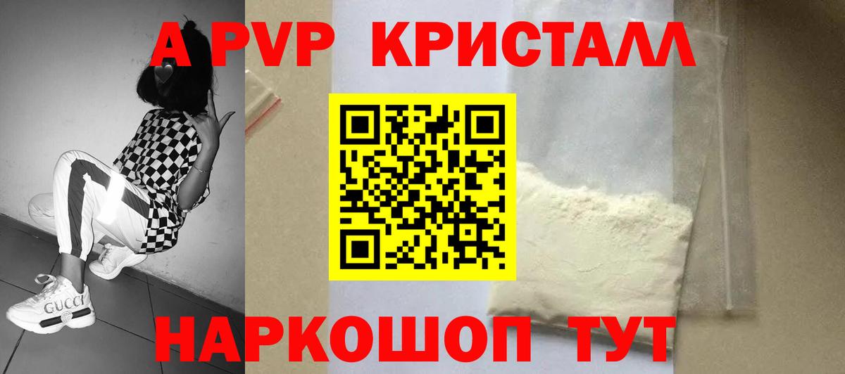 A PVP СК Сыктывкар